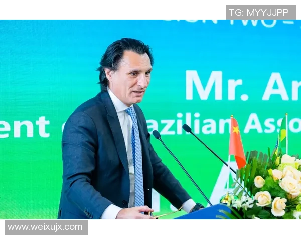 专访王秀英：探寻篮球领域成功背后的秘密与智慧